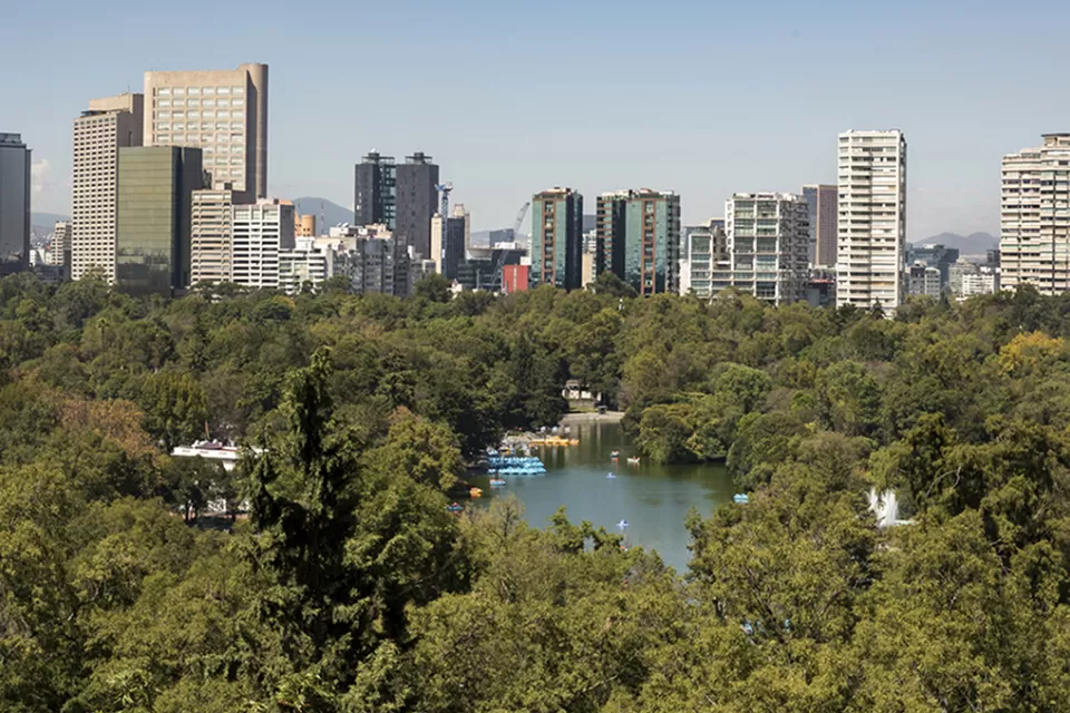 Bosque de Chapultapec